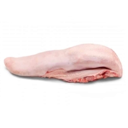 Lengua x kg