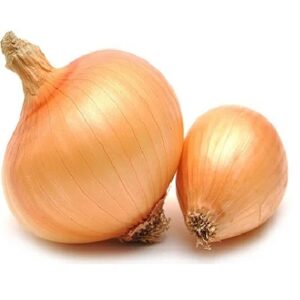 Cebolla x Kg