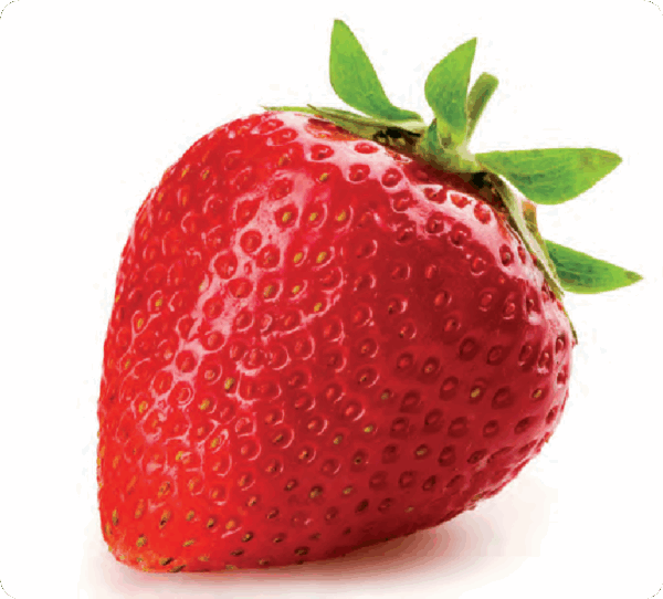 Frutilla x KG