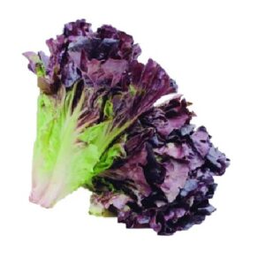 Lechuga Morada 300 G