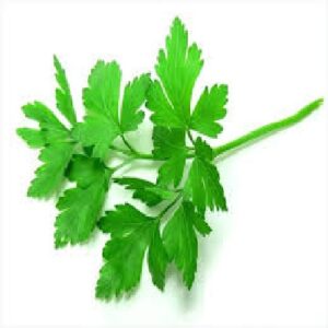 Perejil 150 G