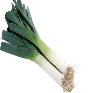 Puerro 100 g